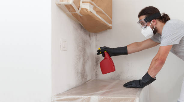 Professional Bathroom Mold Removal technician working in Mountain Lakes, NJ